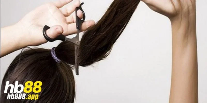 Điều cần biết khi mơ thấy cắt tóc